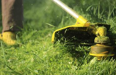 How to Water Your Vegetable Beds